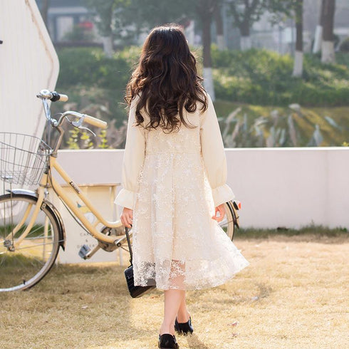 Foreign style embroidered children's skirt princess skirt